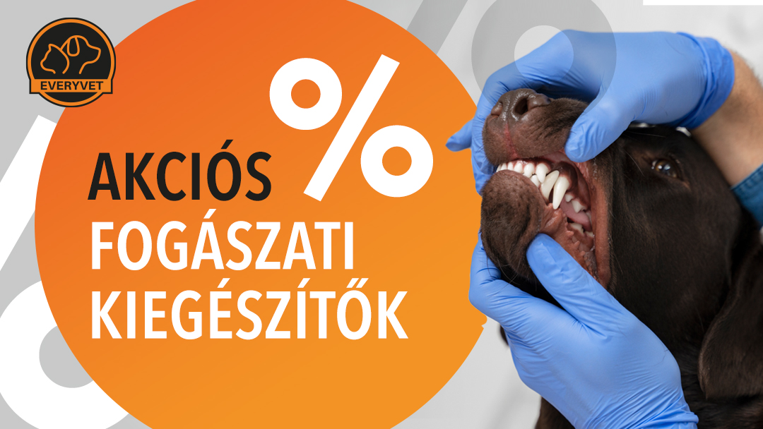 állatorvosi fogászati kiegészítők akció