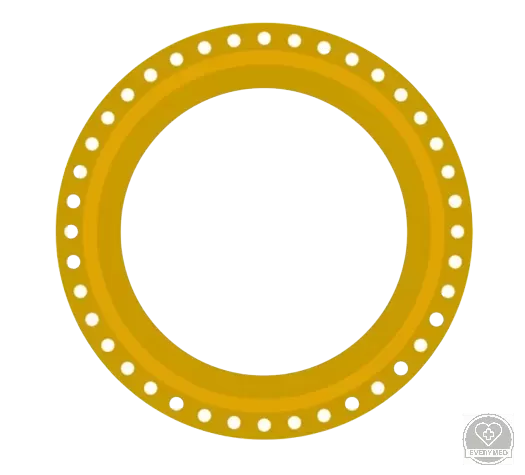 Rotor SMT-120VP-hez, nagyrutin (16 diagnosztika) (10 db/doboz)