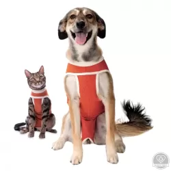 Klasszik CopperBody ruha, méret: 2