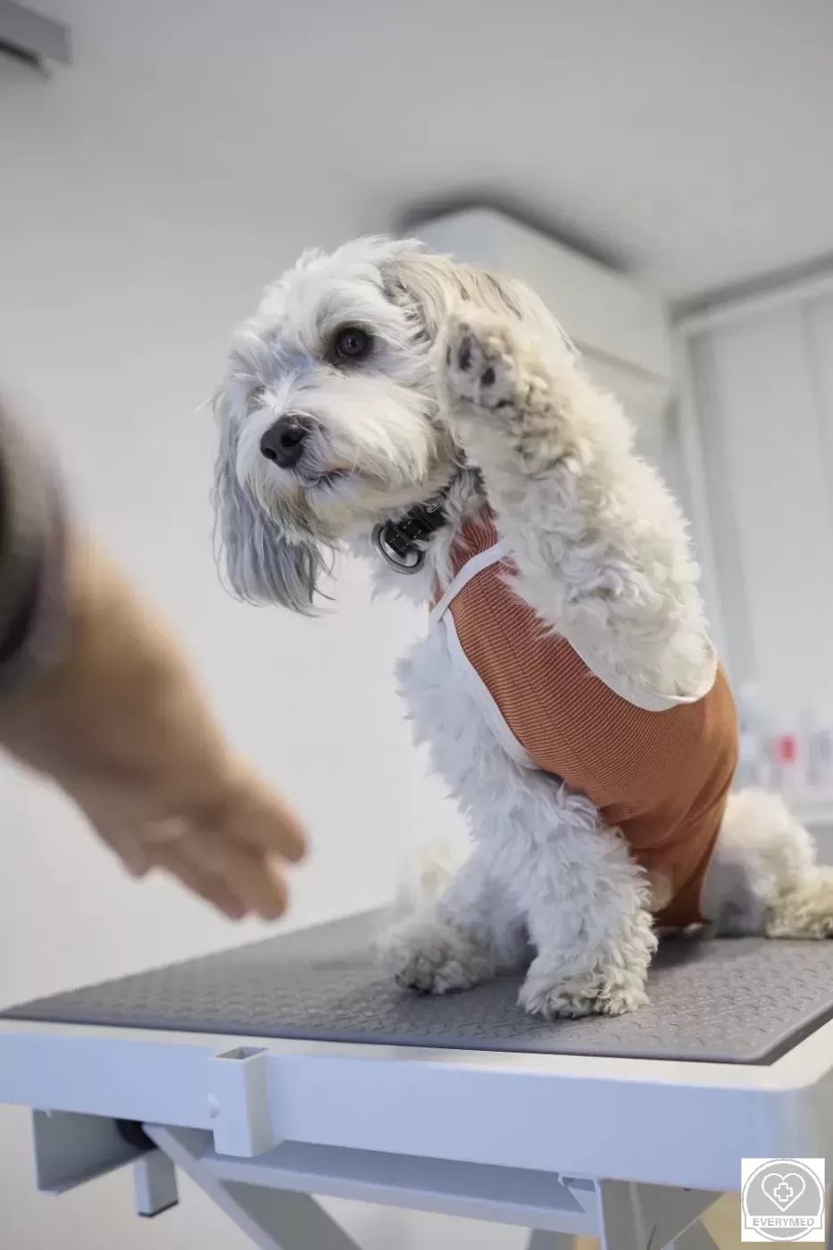 Kasztrált CopperBody ruha,  méret: 1