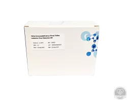 PCR teszt - macska immundeficiencia vírus és a macska leukémia vírus kimutatására  – 8 teszt/doboz